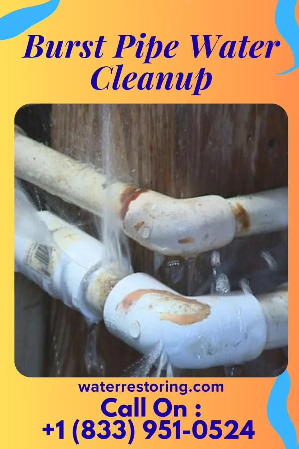 Burst Pipe Water Cleanup in Clover, SC