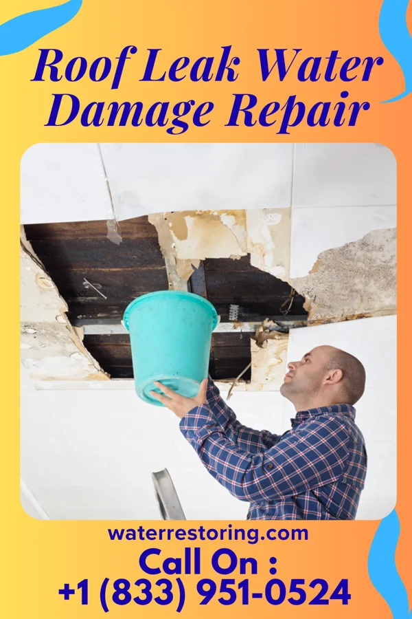 Roof Leak Water Damage Repair in Clover, SC